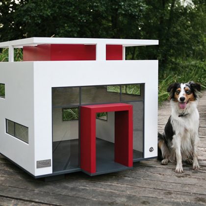 10 Luxury Outdoor And Indoor Dog House Ideas For Your Pet